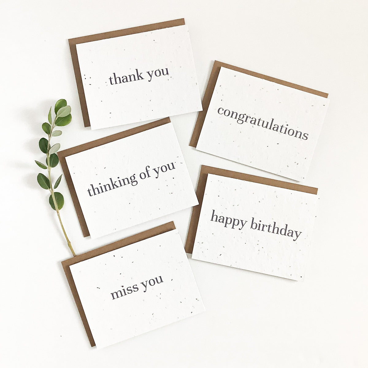 Variety Pack - Classic - Plantable Greeting Card