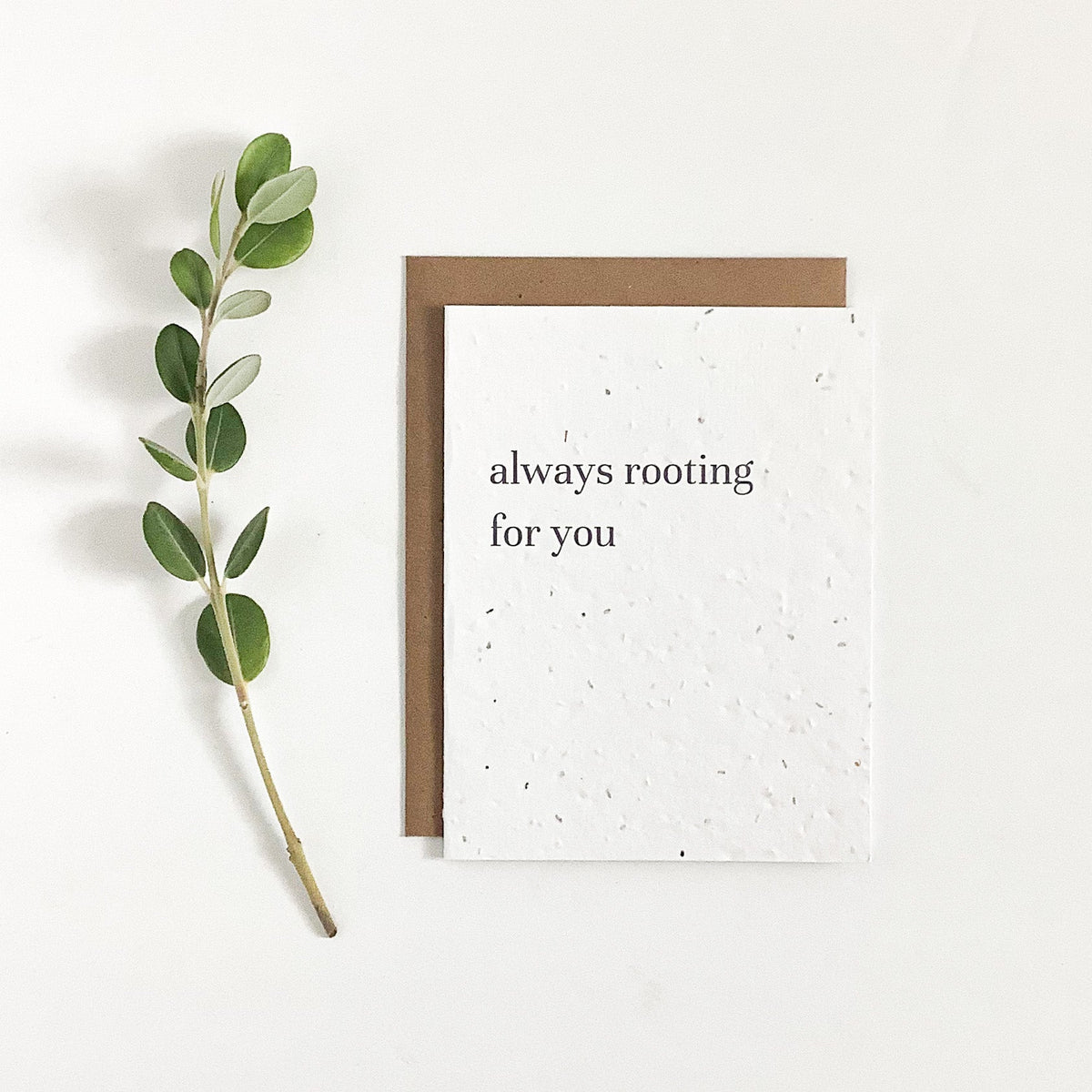 Variety Pack - Plant Puns - Plantable Greeting Card